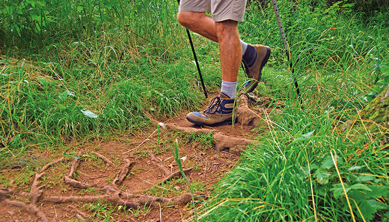 Wnsq-nova-scotia-walking-2